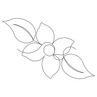violet border